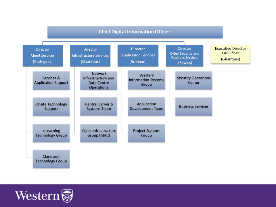 University Of Toronto Organizational Chart