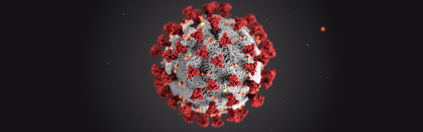 Covid19 virus