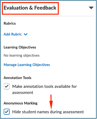brightspace evaluation and feedback option