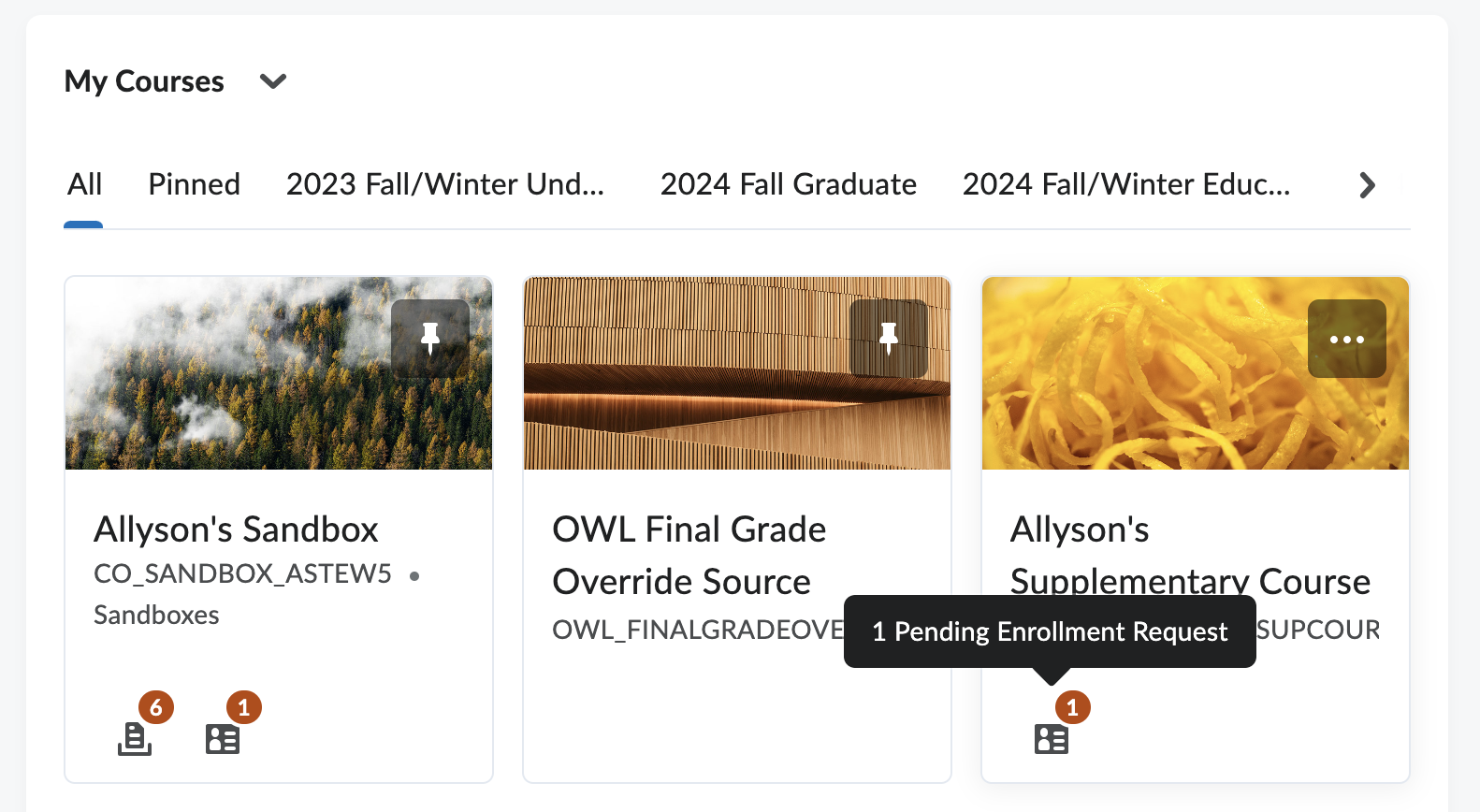 Screenshot of the My Courses widget.