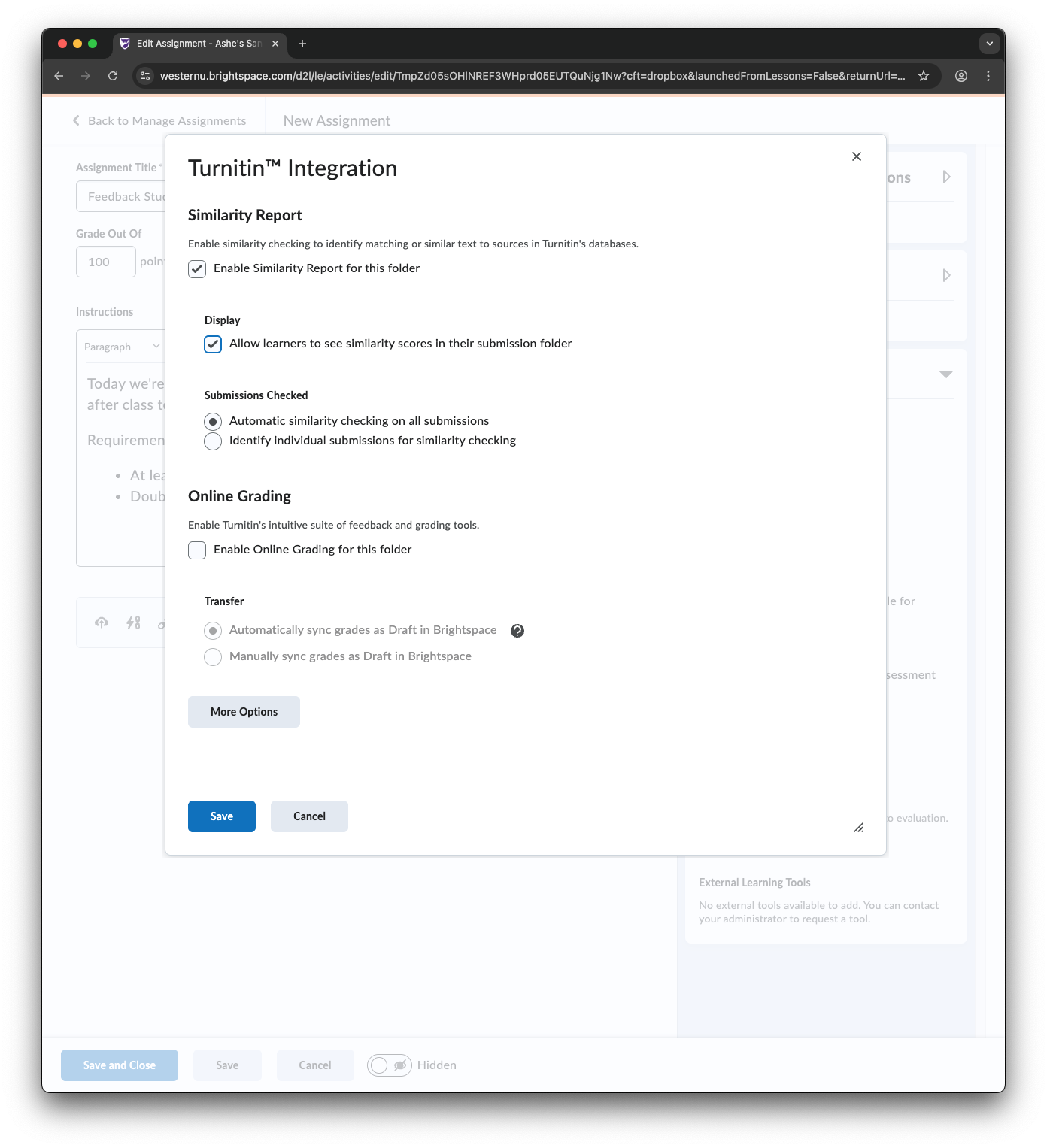 Turnitin Settings Modal in Brightspace Assignment Settings