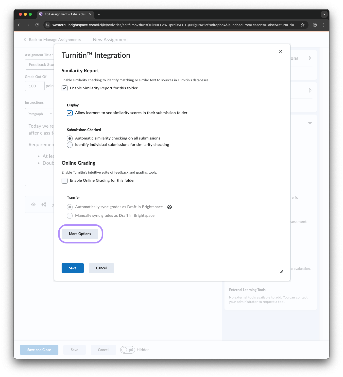 Turnitin Settings Modal in Brightspace Assignment Settings, the "More Options" button is highlighted.