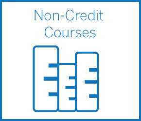 Non-Credit Courses
